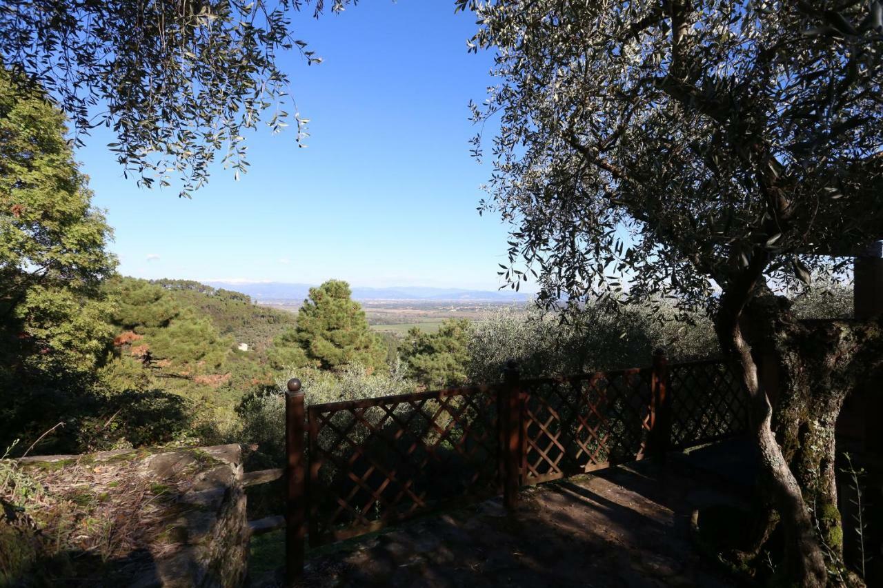 Molino Del Rotone Guest House Buti Екстериор снимка
