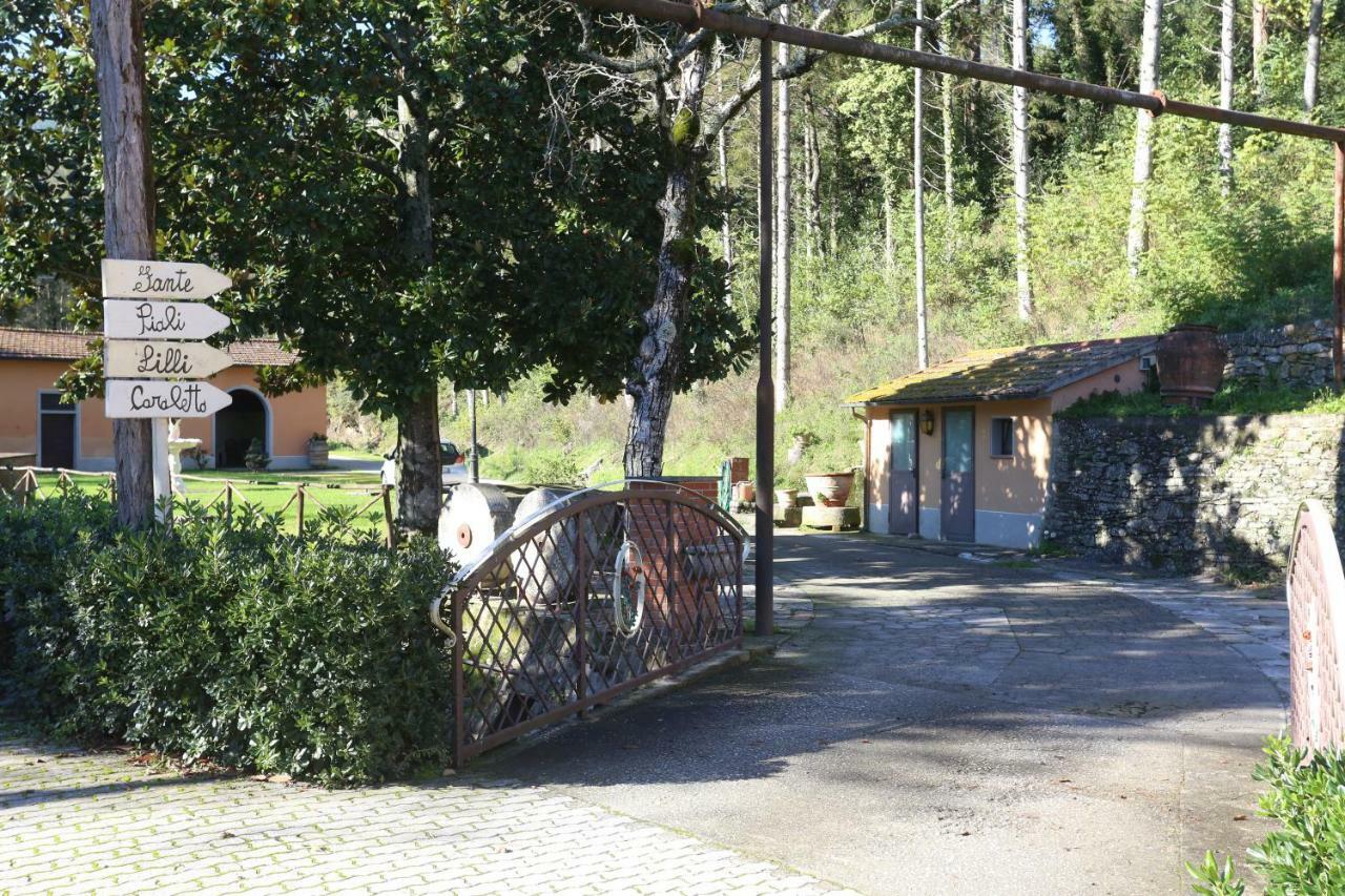Molino Del Rotone Guest House Buti Екстериор снимка